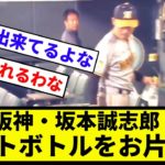 【お前 人間できてるな】阪神・坂本誠志郎　ペットボトルをお片付け【反応集】【プロ野球反応集】