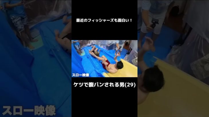 最近のフィッシャーズも面白い！！#フィッシャーズ #フィッシャーズ切り抜き #シルク #ダーマ #ンダホ #ザカオ #マサイ #爆笑 #美女