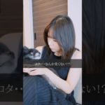 【 ドラマ 】 ペットお風呂 の頻度ってどのくらい？ ペットシャンプー ってどれが良いの？〔 犬 ペット しつけ 〕