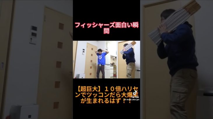 フィッシャーズ　面白