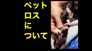 ちと重いお話。。ペットロスについて