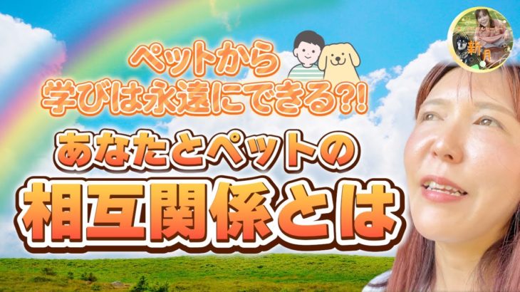 あなたとペットの相互関係とは【ペットから学びは永遠にできる?!】