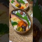 たんぱく質が摂れる【夫婦ダイエット弁当】【鮭の西京味噌焼き】 #お弁当 #お弁当おかず #ダイエット #高タンパク #簡単レシピ #筋トレのお供