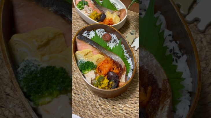 たんぱく質が摂れる【夫婦ダイエット弁当】【鮭の西京味噌焼き】 #お弁当 #お弁当おかず #ダイエット #高タンパク #簡単レシピ #筋トレのお供