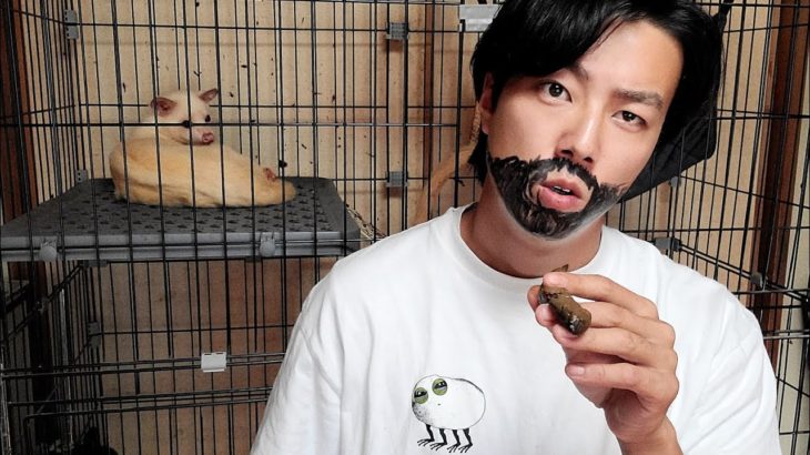 本物の動物好きによる極上のペット紹介