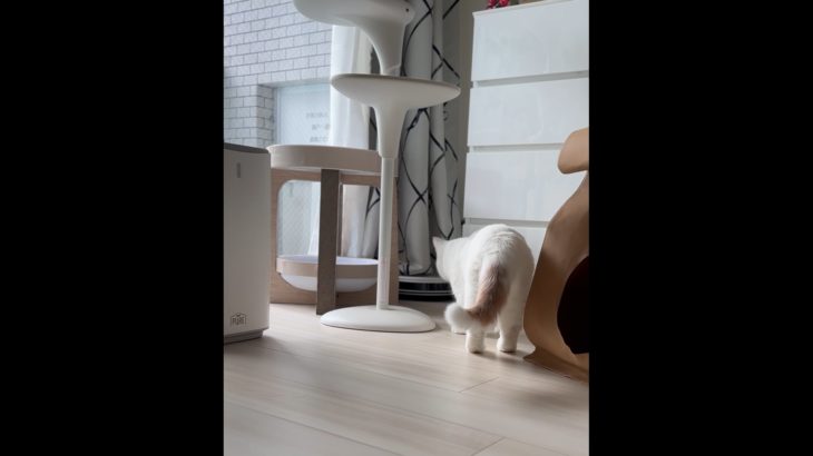 ジメジメした季節に大活躍！