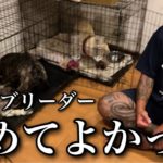 犬と暮らすの最高！見たら絶対にペットを飼いたくなる動画