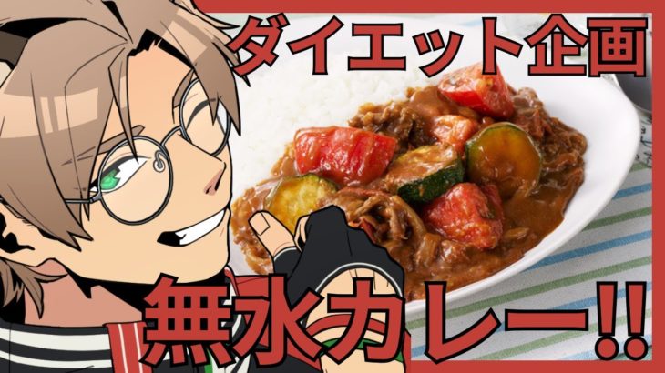 【実写配信】ダイエット企画！痩せる無水カレー！【#新人vtuber / あしさんり】#料理配信