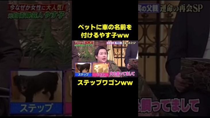 ペットに犬の名前をつけるやす子が面白すぎるww #お笑い #やす子