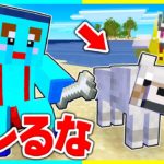 ペットのフリしてイタズラしまくるマインクラフトwww【まいくら/マインクラフト】