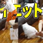 【ダイエット】ゲームで−10㌔目指した。