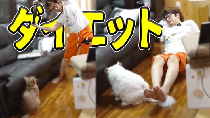 【ダイエット】ゲームで−10㌔目指した。