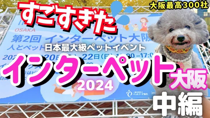 【日本最大級のペットイベント】インターペット大阪2024に行ったら凄すぎた💦【インテックス大阪】中編 【厳選出展者16社紹介・過去最多300社】