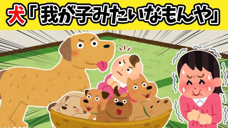 【総集編】夜寝る前に聞きたい！赤ちゃんとペットの癒される小話20連発【2chほのぼの】