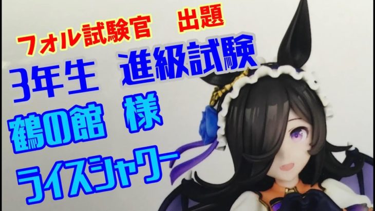 再配信　進級試験　鶴の館 様　ライスシャワー　メイクアップヴァンパイア　製作　40