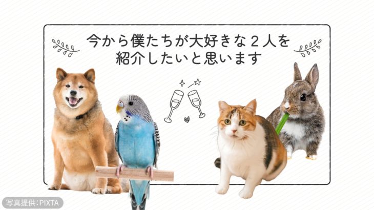 結婚式プロフィールムービー「きずな」（ペット4匹ver）(16:9) v2024.1