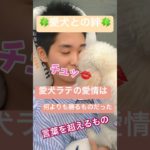 【🐶愛犬との絆】#7年間の絆#ペットと障がい#植物状態#愛犬の力#ペット#トイプードル#愛情#四肢麻痺#車椅子#寝たきり#交通事故#後遺症#shorts
