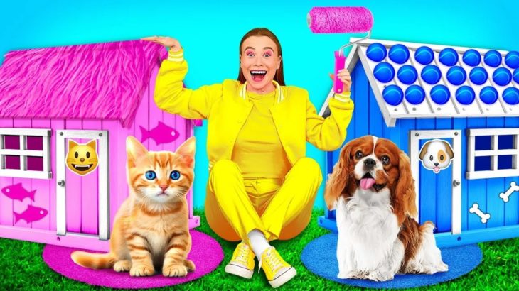 私たちはペットのためのハウスを建てます BaRaDa Challenge