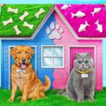 私たちはペットのためのハウスを建てます | 面白いチャレンジ Multi DO Smile