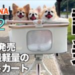 【PETTENA Elf2】史上最軽量のペットカートでおでかけしたら想像以上に快適だった