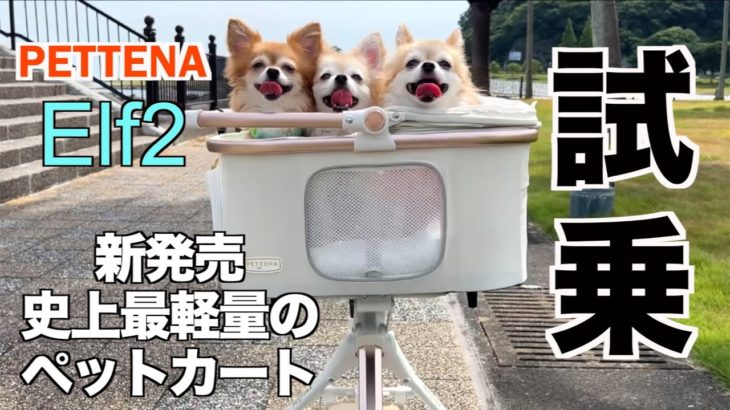 【PETTENA Elf2】史上最軽量のペットカートでおでかけしたら想像以上に快適だった