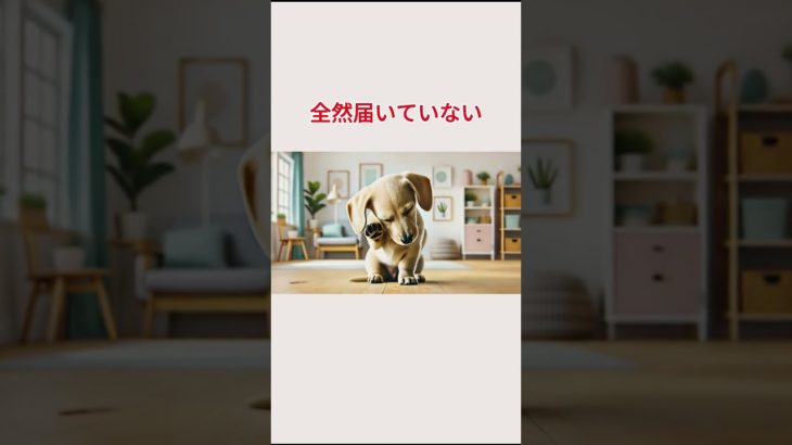 VOICEVOX：青山龍星#愛犬 #愛猫 #ペットロス #ダックス #チワワ #トイプードル #ゴールデンレトリバー #ビーグル #ブルドッグ #パグ #ポメラニアン #ピンシャー #パピヨン #柴犬