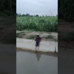 Village Beauty☺️☺️ #shorts #youtubeshorts #beautiful