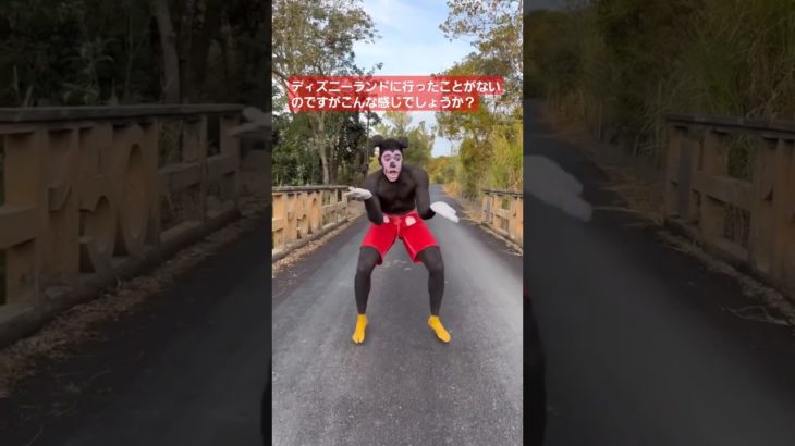 多分これがディズニーランド #asmr #ゲーム実況 #ゲーム #jk #ヒカキン #セイキン #フィッシャーズ #マイクラ #すとぷり #おもしろい #tiktok #流行 #最強