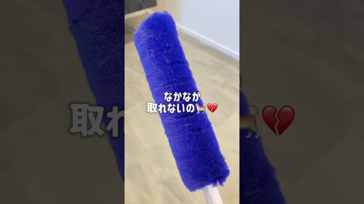 【バズってたけど…】ペット飼いさんに見てもらいたいちょっと残念ポイント泣#掃除 #ペット #cleaning