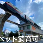 ゆいレール駅前ペット飼育可マンション　那覇市　沖縄不動産　okinawa realestate