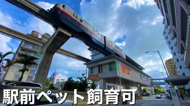 ゆいレール駅前ペット飼育可マンション　那覇市　沖縄不動産　okinawa realestate