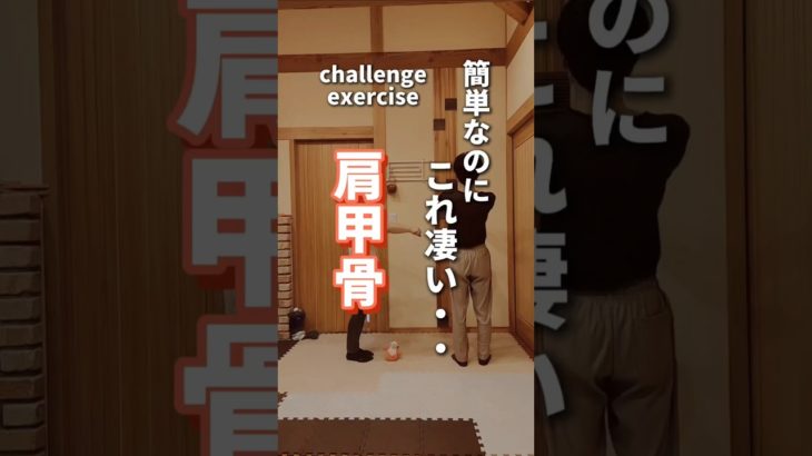 【肩甲骨】簡単なのにこれ凄い…#ダイエット#肩甲骨#肩甲骨ダイエット#shorts