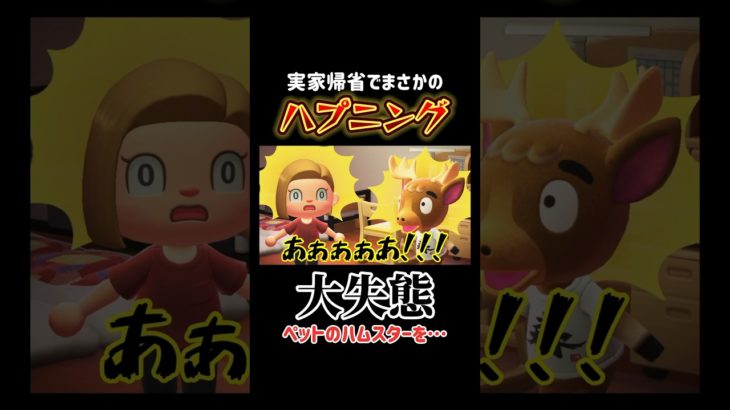 実家帰省でまさかのハプニング！ペットのハムスターを、、🐹#あつ森 #あつまれどうぶつの森 #shorts