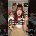 日本はいつまでペットを荷物として扱い続けるの？？😢 #tiktok #shorts