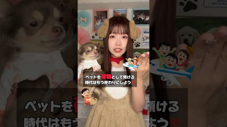 日本はいつまでペットを荷物として扱い続けるの？？😢 #tiktok #shorts