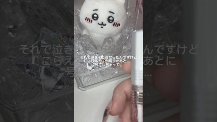 本当にありがとう#生活音 #コスメ #メイク #雰囲気 #無加工系統