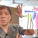 【ダイエット 】背中痩せ する人の３つの共通点