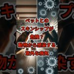 ペットとのスキンシップが危険？動物から感染する意外な病気 #ペットの健康 #ズーノーシス