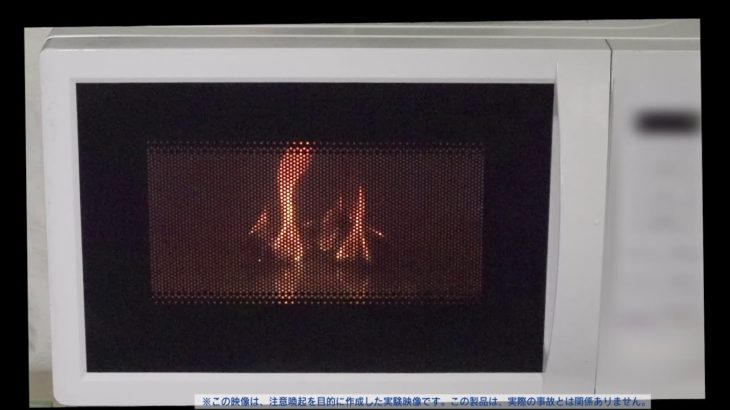 【時短重視は危険】電子レンジの使い方に要注意！「ペットボトル爆発」に「クッキースパーク」使い方を間違えると重大な事故になることも…北海道