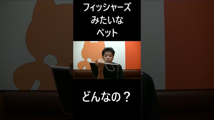 フィッシャーズみたいなペット #大喜利