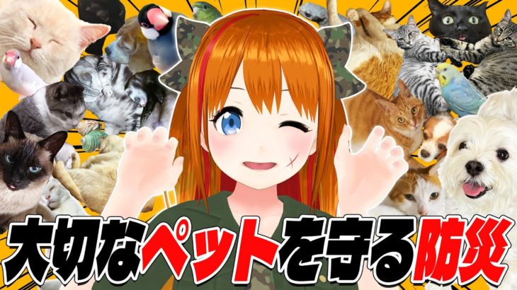 【防災】大切なペットを守る防災の日【 #彩まよい生放送 】