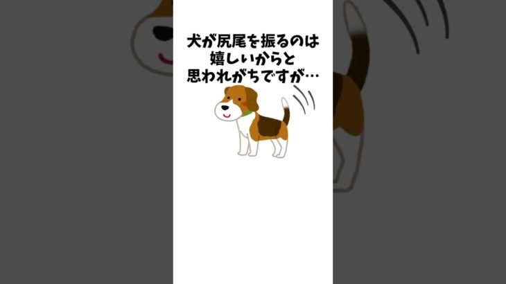 犬が本当に伝えたい意味　#犬 #ペット #雑学