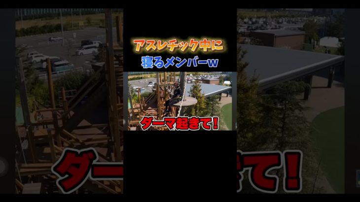 それを否定しないダーマ、ンダホw #フィッシャーズ #シルクロード #ダーマ #ンダホ #ザカオ #モトキ #マサイ #shorts