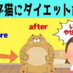 【ほのぼの】太りすぎた猫を見かねて、ダイエット指導を始める娘www