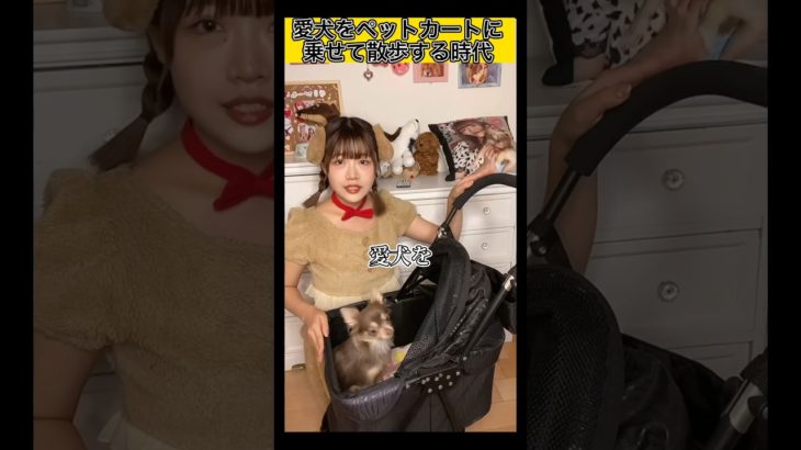 ペットカートに愛犬を入れて散歩してたら子供出来たと思われたwww #tiktok #shorts
