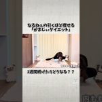 明日からなるねぇの引くほど痩せるかまじぃダイエットを1週間やってみるよ！#脚痩せ #かまじぃダイエット#かまじぃ#なるねぇ