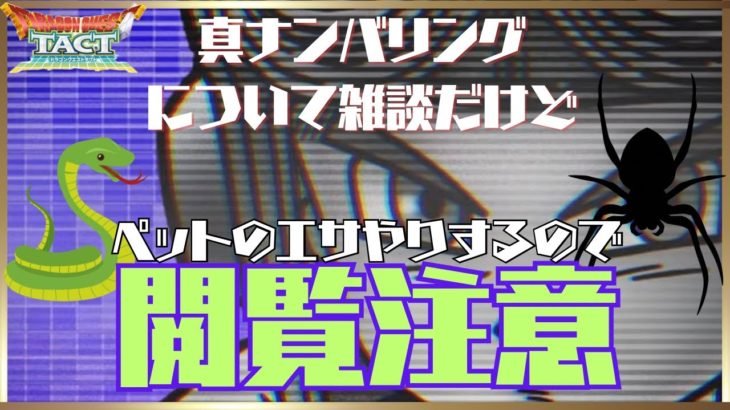 【閲覧注意】ペット🐍🕷️にエサをあげながら真ナンバリングドラクエ2について雑談‼️
