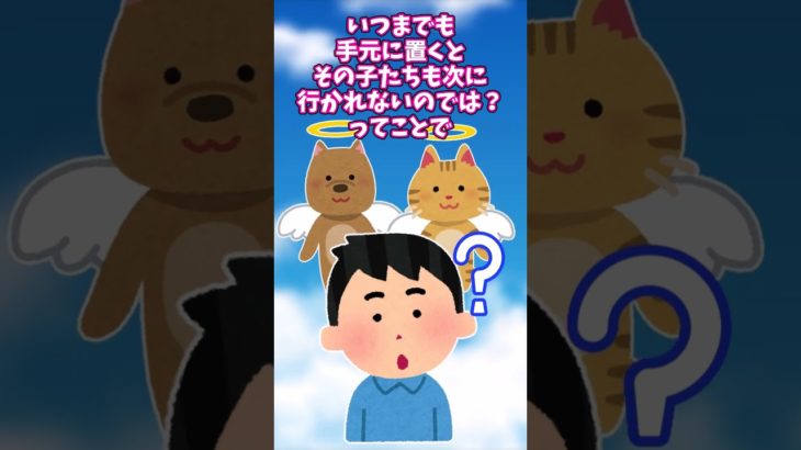 【2ch】ペットのお骨 #Shorts #2ch