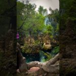 Beautiful 😍 view beauty nature 😍 // #yrending_shorts_on_youtube #beautyofnature #nature #viral #fyp#