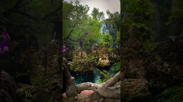 Beautiful 😍 view beauty nature 😍 // #yrending_shorts_on_youtube #beautyofnature #nature #viral #fyp#